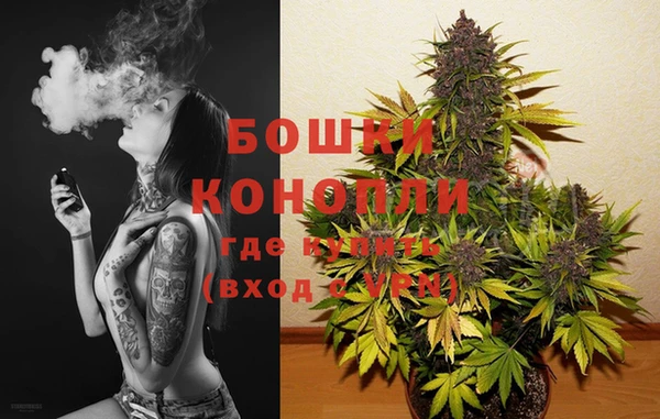 прущие крисы Болохово