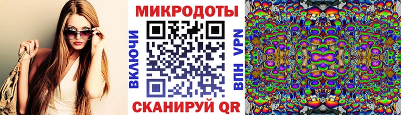 Псилоцибиновые грибы Psilocybine cubensis  Калтан 